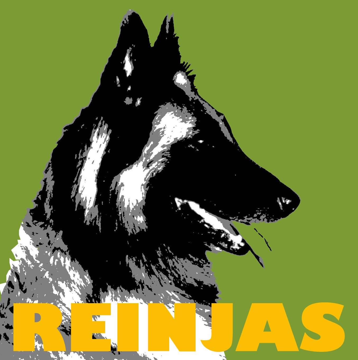 Reinjas Hundeschule - Mittelfrankens mobile Hundeschule - Diebach
